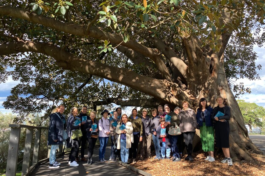 About 20 people stand underneath a giant Moreton Bay fig.
