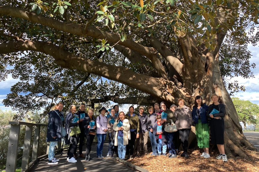 About 20 people stand underneath a giant Moreton Bay fig.