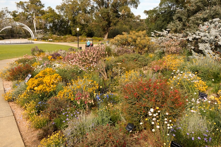 The large scale floral display at the entrance to the botanic gardens.