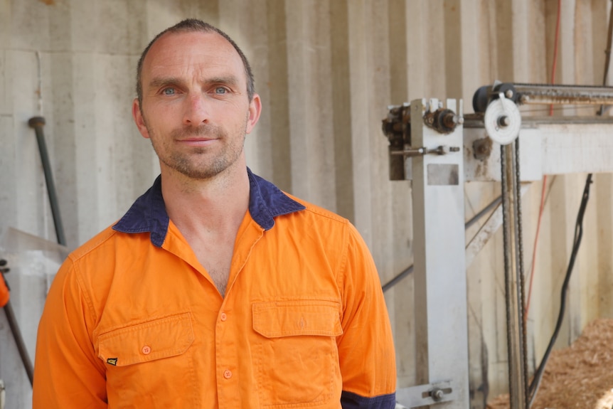 A man in fluro stands in front of timber milling machinery