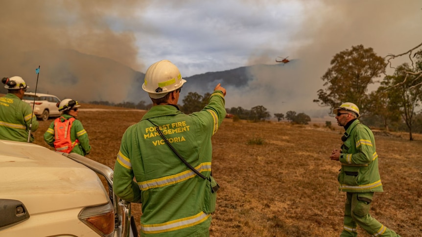 A man pointing at a bushfire