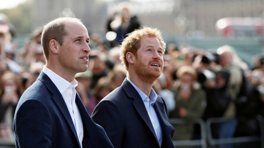 Prince William and Prince Harry, wearing navy suit jackets, look up to the sky.