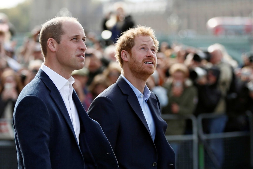 威廉王子和哈里王子肩并肩，仰头看。