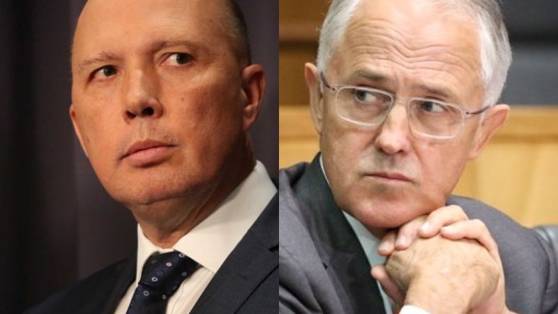 Composite image of Peter Dutton looking to the right and Malcolm Turnbull looking to the right