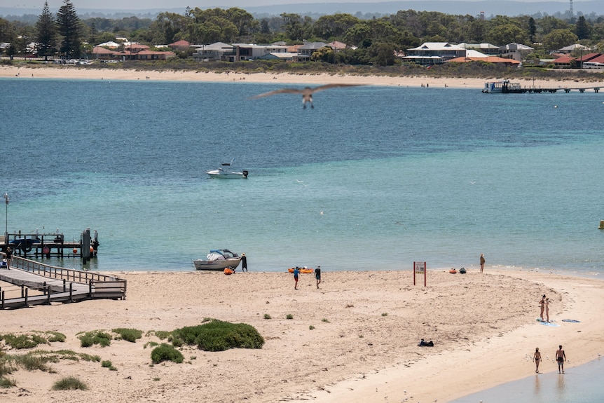 Penguin Island is a popular destination for boats, kayaks and jet skis.