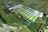 Aerial view of artists impression of green glasshouse growing facility in Shepparton countryside