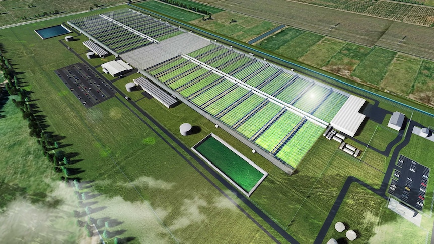 Aerial view of artists impression of green glasshouse growing facility in Shepparton countryside