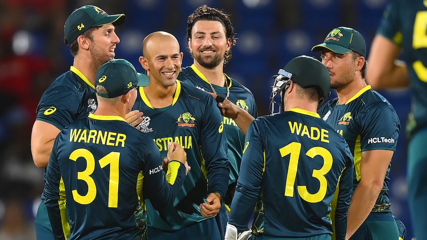 Australia celebrates a wicket against Scotland at the men's T20 World Cup.