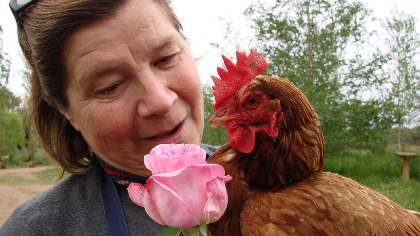 Anne Stuckey with one of her hens
