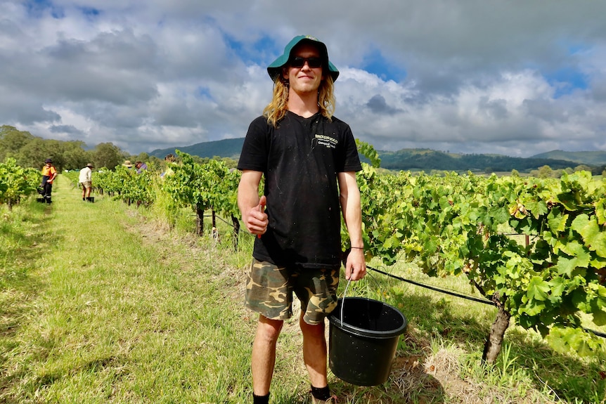 A young man in the vineyard with a bucket.