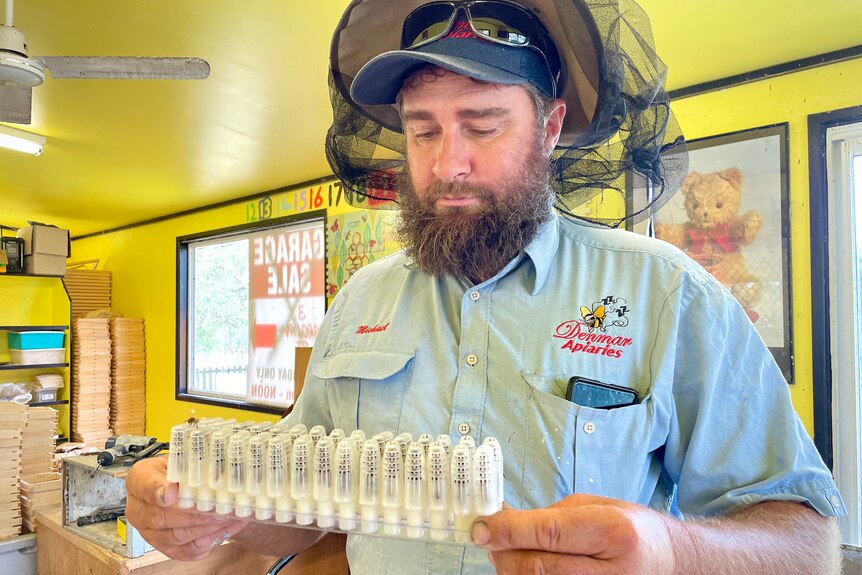 A bearded man holds up small cages containing bees.