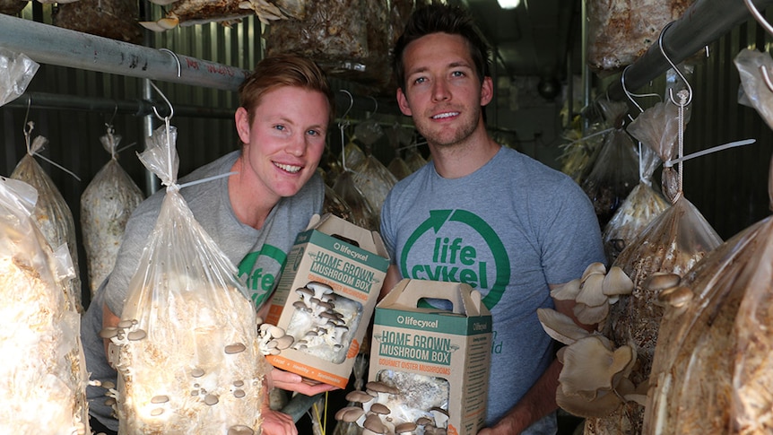 Two men holding mushroom growing kits stand among bags of mushrooms.