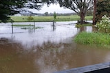 A very wet paddock
