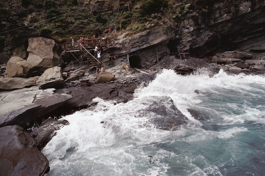 Excavation at Dinosaur Cove seaside cliff where pterosaur bones were found