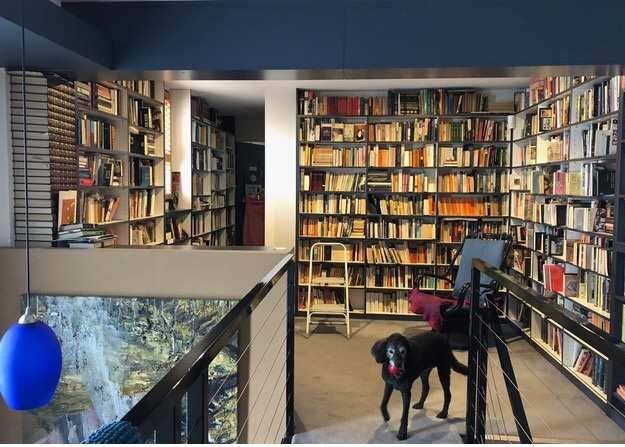 On Leah Kaminsky's The Hollow Bones, Ben Marcus's  Notes from the Fog, Julie Keys, The Artist’s Portrait, Katherine Kovacic, Painting in the Shadows and Andrea Goldsmith on books episode artwork