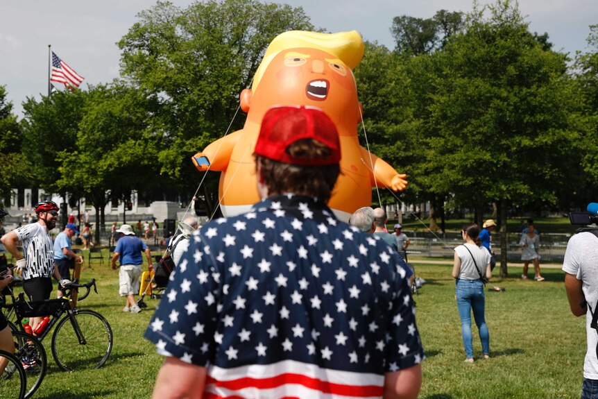 A Baby Trump balloon is tied down