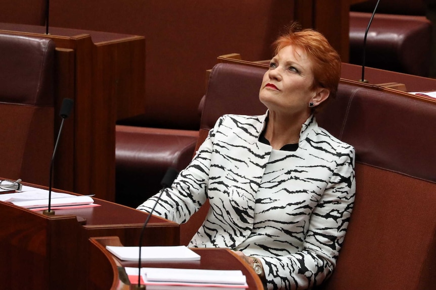 Pauline Hanson, wearing a white jacket with black pattern, sits in her place in the Senate looking up.