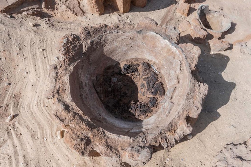 A brown hole in the ground looks like a tree trunk on parched ground surrounded by dirt.