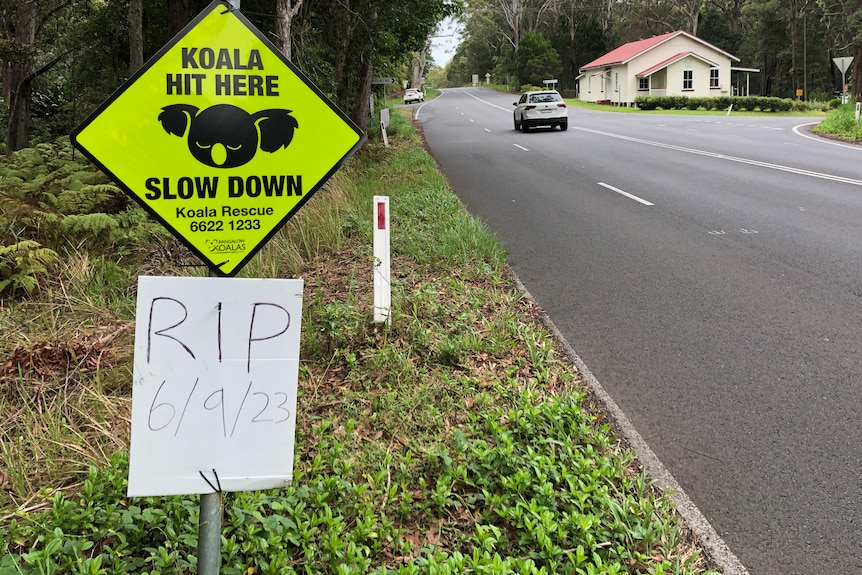 A tree-lined road with a sign on the roadside depicting a koalas face, and a handwritten Rest In Peace sign wunderneath.