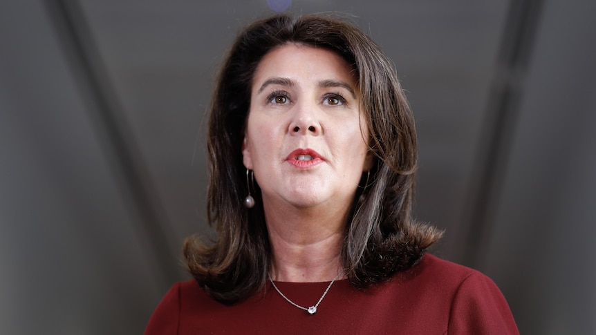 A low angle shot of Jane Hume speaking inside Parliament House.