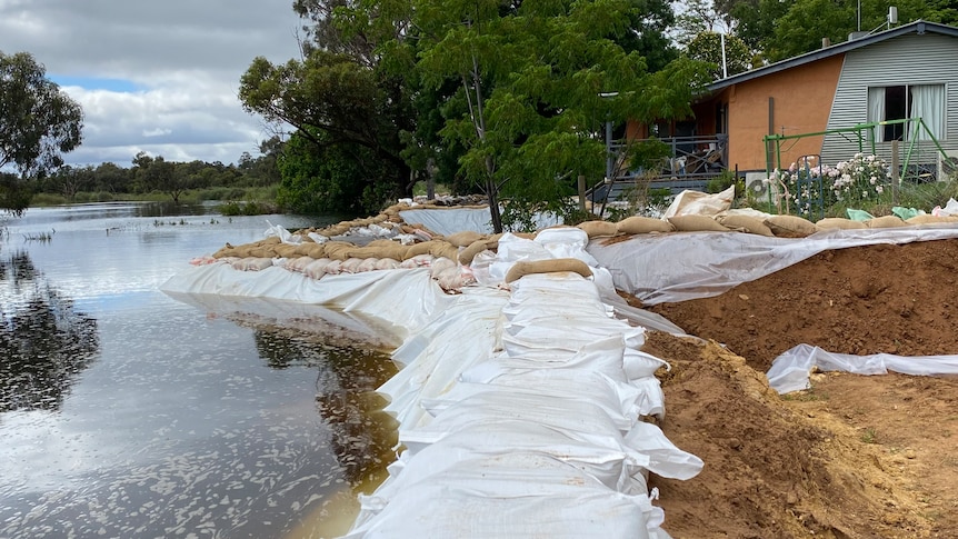 A dirt levee covered in a tarp and sandbags, to the lefts is a pool of water, to right stands a house.