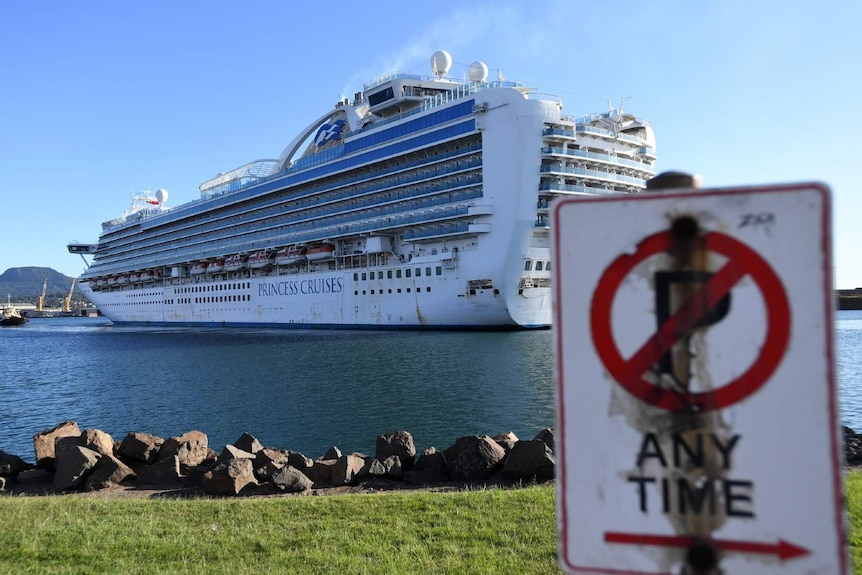 a no parking anytime sign with the ruby princess cruise in the background