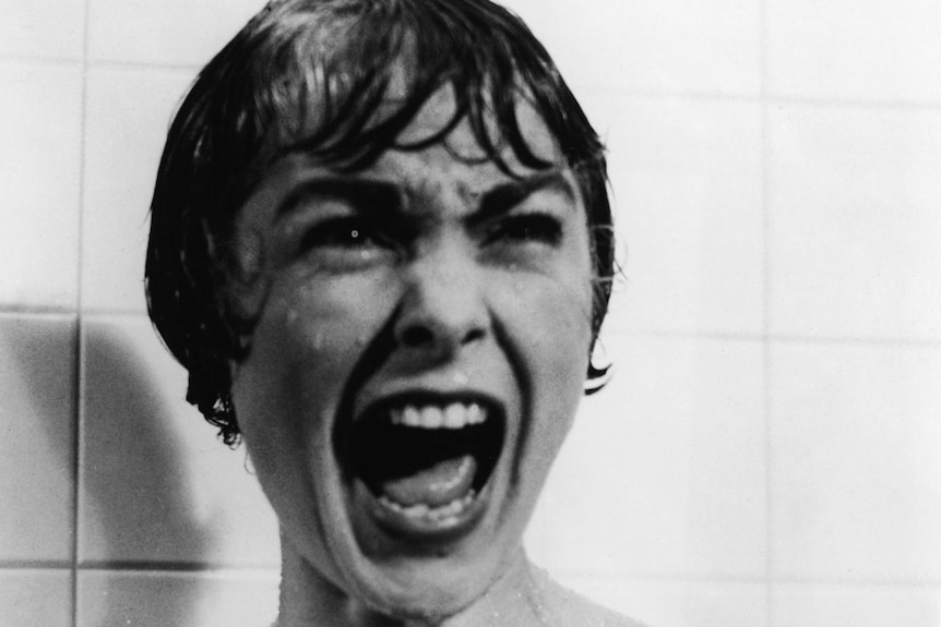 Janet Leigh in a scene from Hitchcock film Psycho