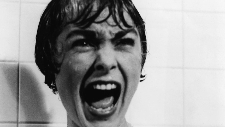 Janet Leigh in a scene from Hitchcock film Psycho