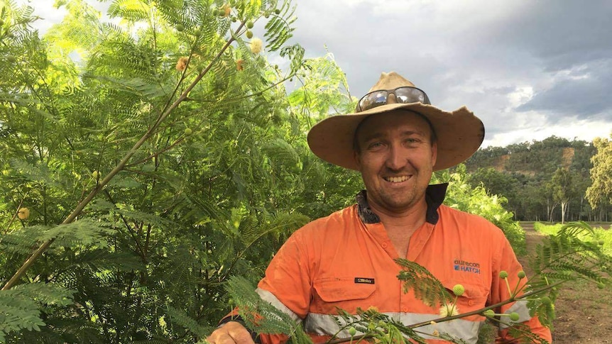Grazier Nathan Evans says psyllids were limiting where leucaena could be successfully grown