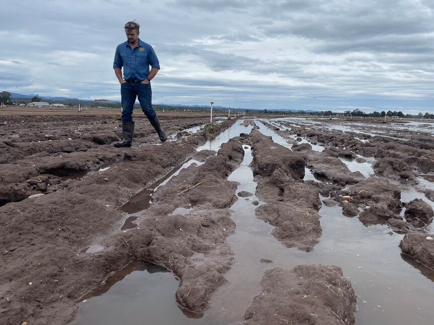 A farmer in a blue shirt and jeans inspects a flooded paddock.