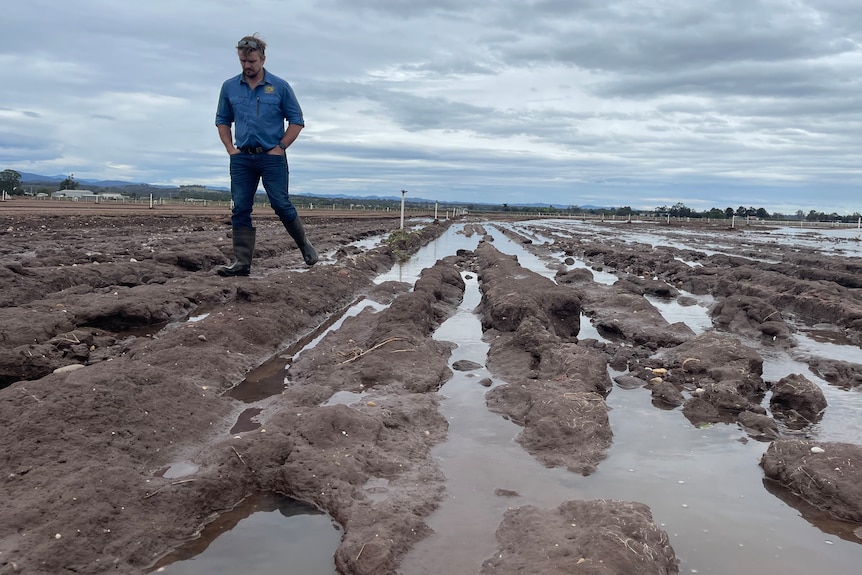 A farmer in a blue shirt and jeans, inspects a damaged field with visible water everywhere