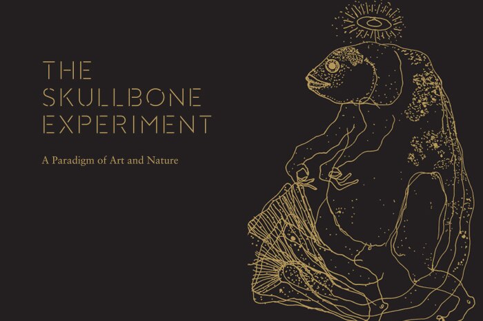 Skullbone Experiment