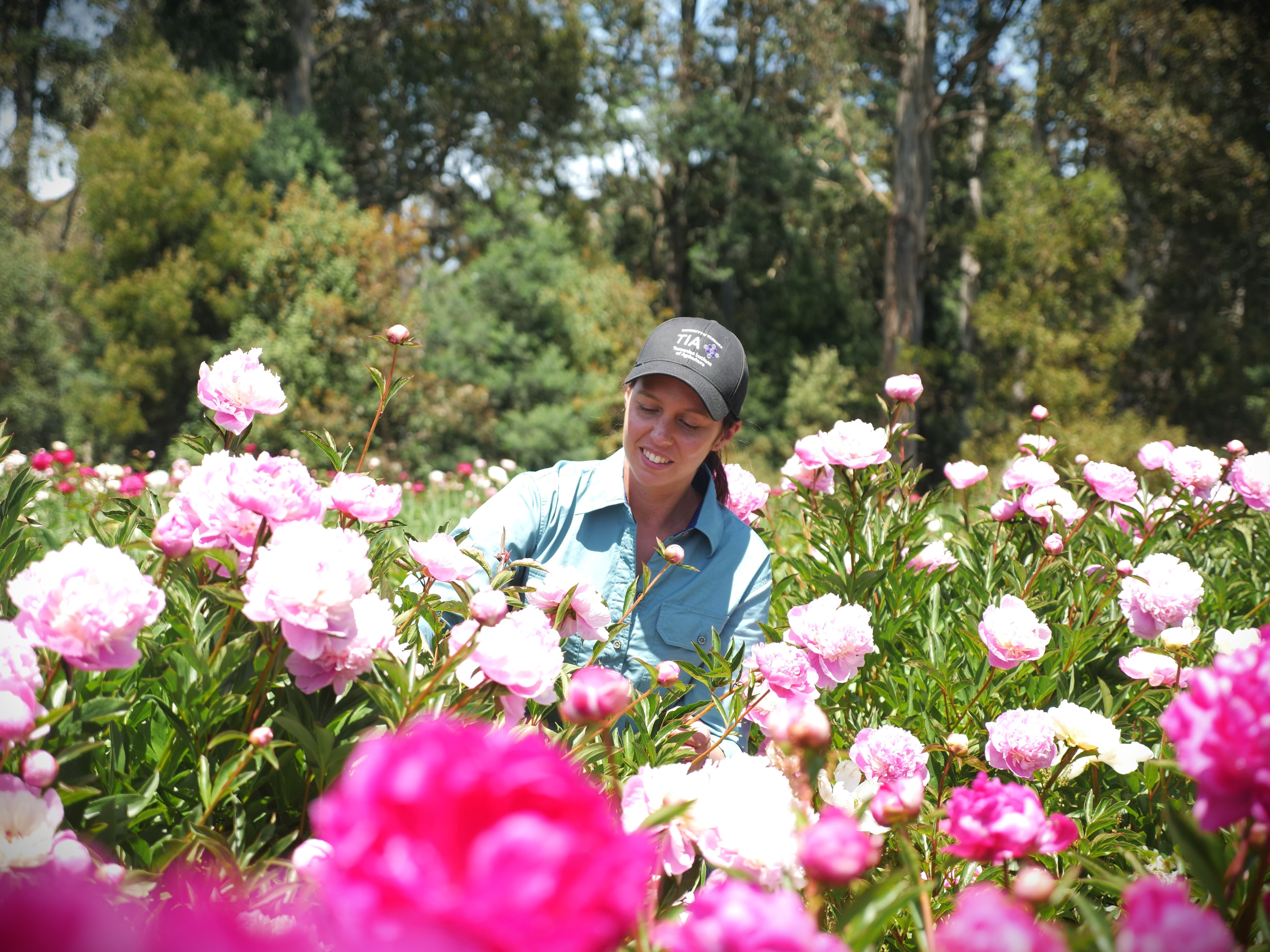 Woman wearing a blue cap stands in a field of peonies, smiling at the ground.