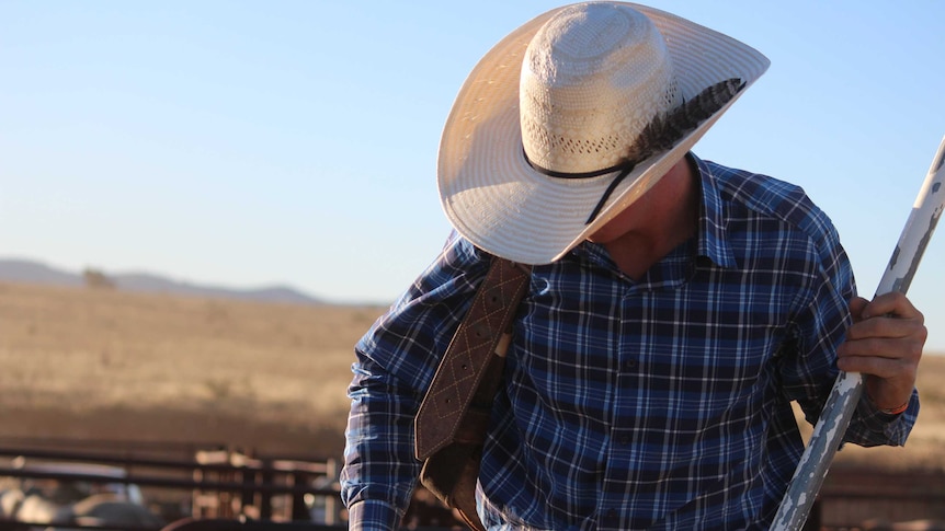 A rider prepares for the 2015 Carrieton Rodeo.