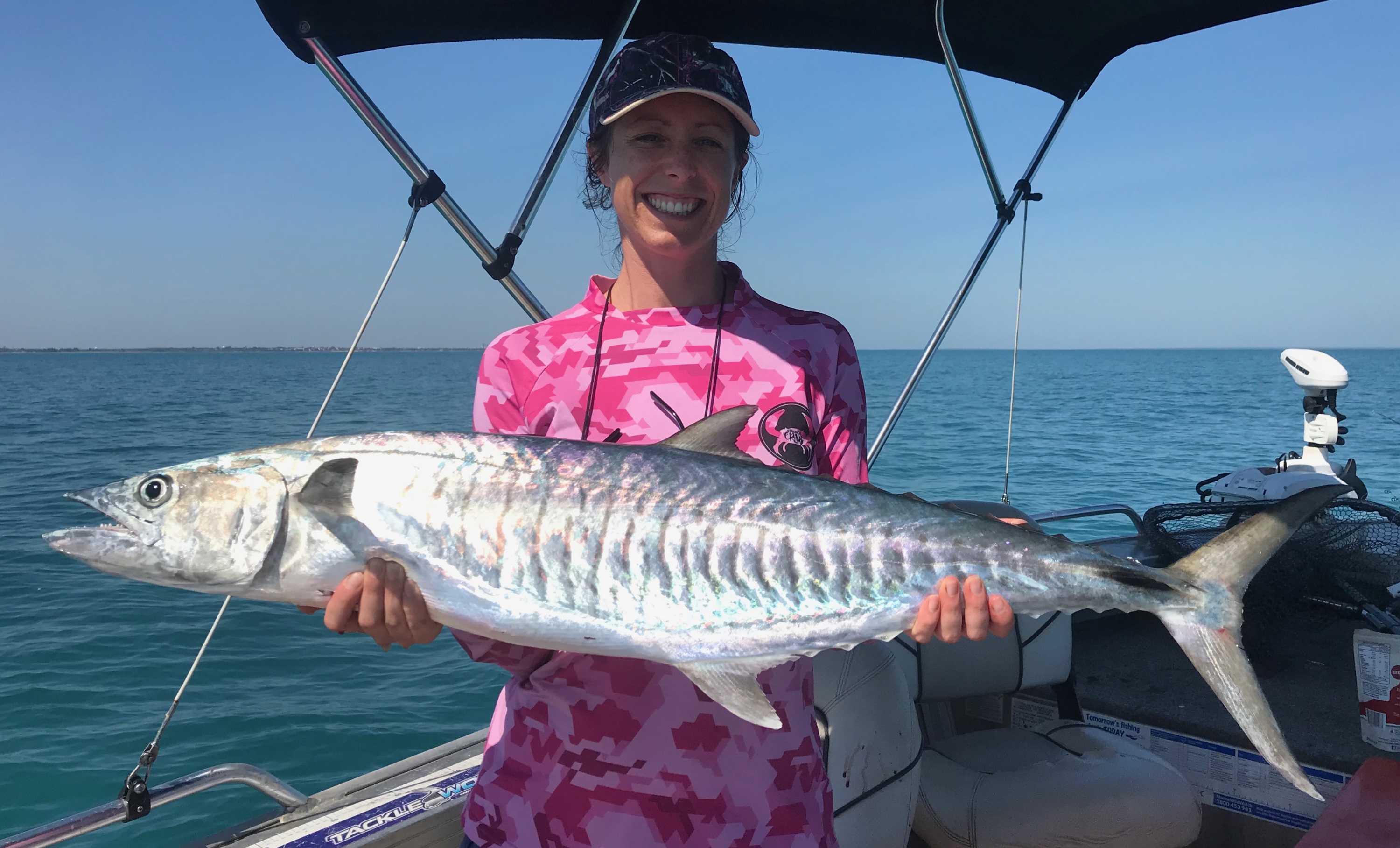 Spanish mackerel stocks under threat from overfishing, government says