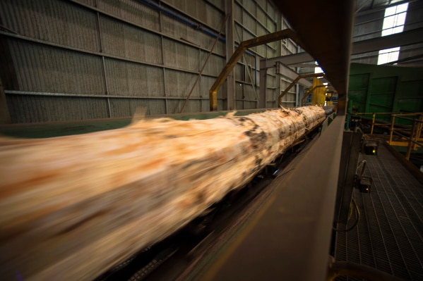 A log being processed at a sawmill.