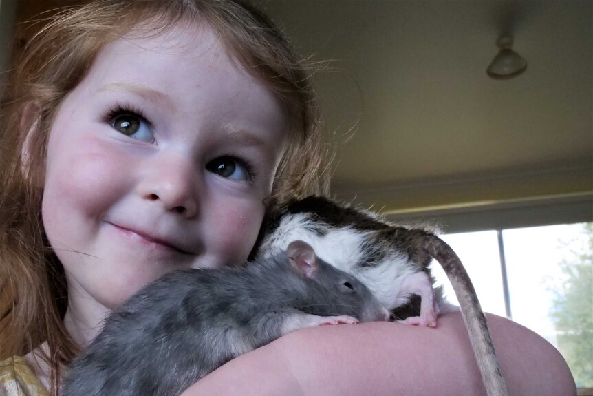 Young girl smiling and looking off to the side as she holds two pet rats up to her neck to cuddle them