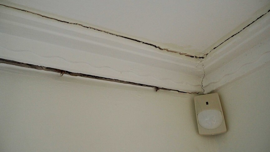 Severe cracking in the ceiling and cornices in Ms Shakallis's unit.