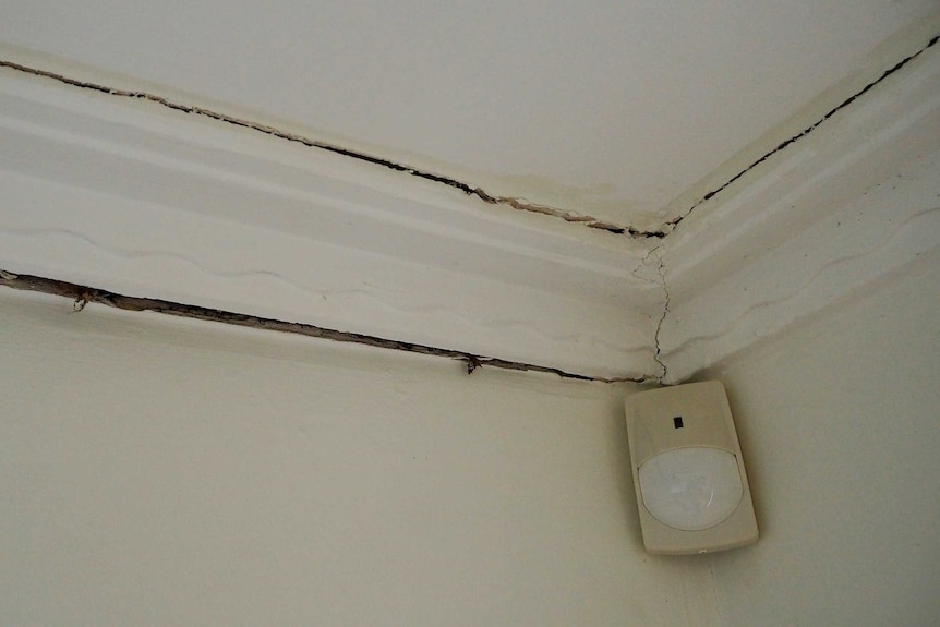 Severe cracking in the ceiling and cornices in Ms Shakallis's unit.
