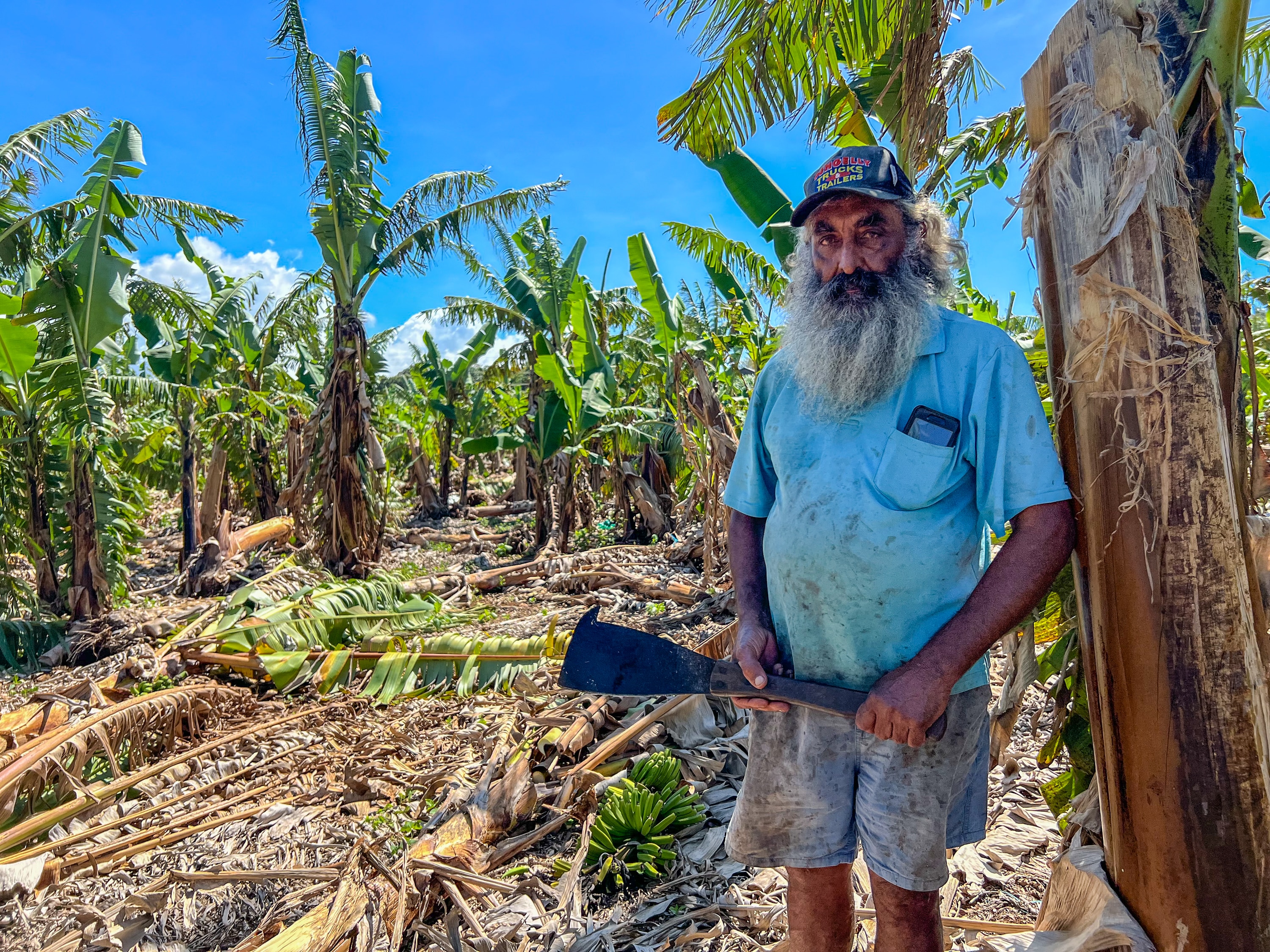 Banana farmer to go without income for year after cyclone damage