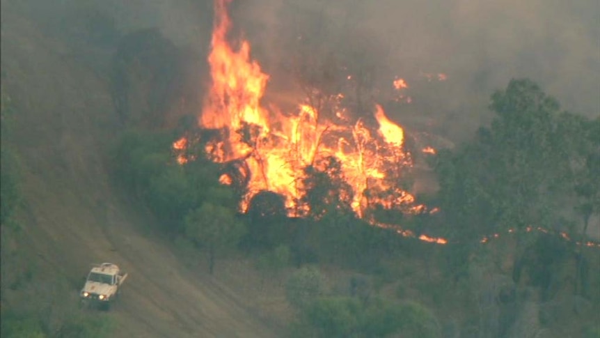Aerial photo of a fire burning in trees, with a firefighting truck nearby.