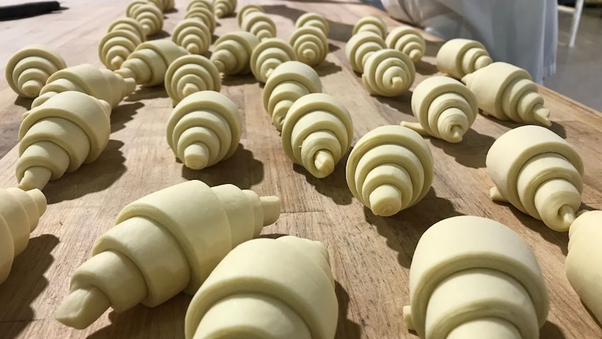 Uncooked croissants on a chef's table.
