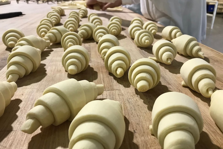 Uncooked croissants on a chef's table.