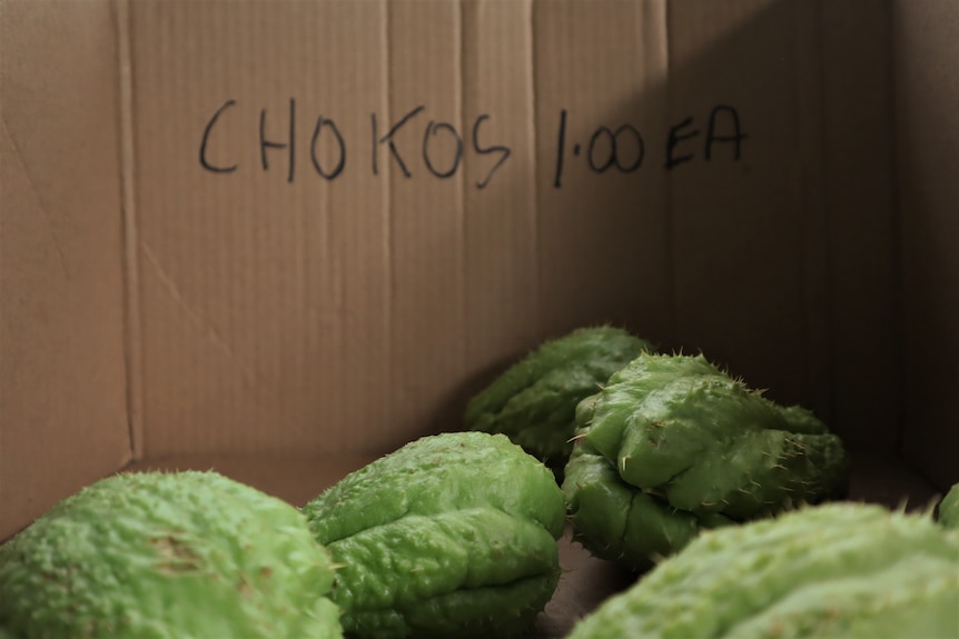 Green chokos in labelled box.