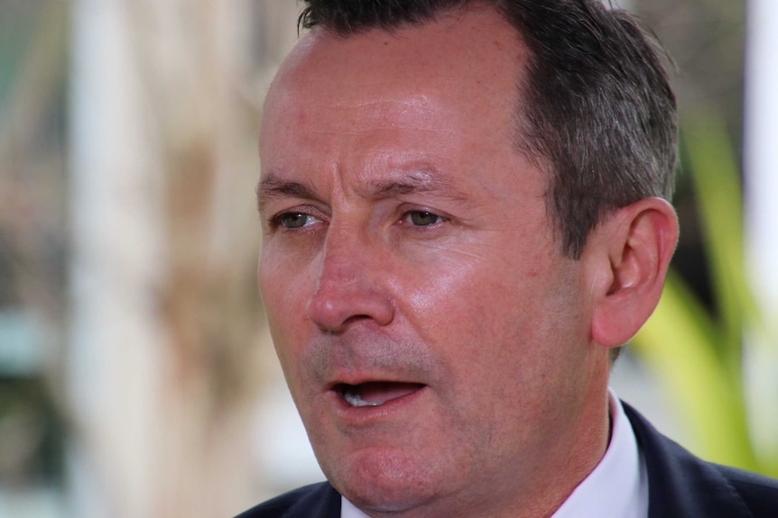 A headshot of Mark McGowan wearing a suit against a background of trees.