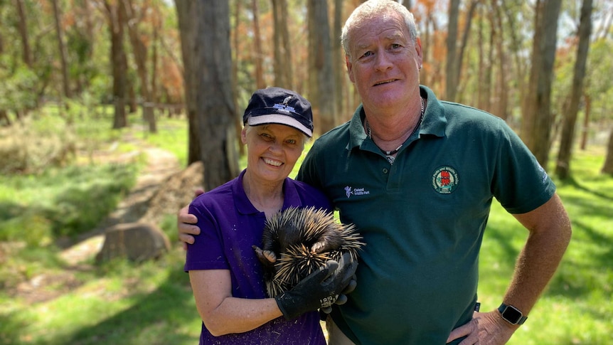 Bev Langley holding Ethel the echidna in her hands, standing next to Byron Manning