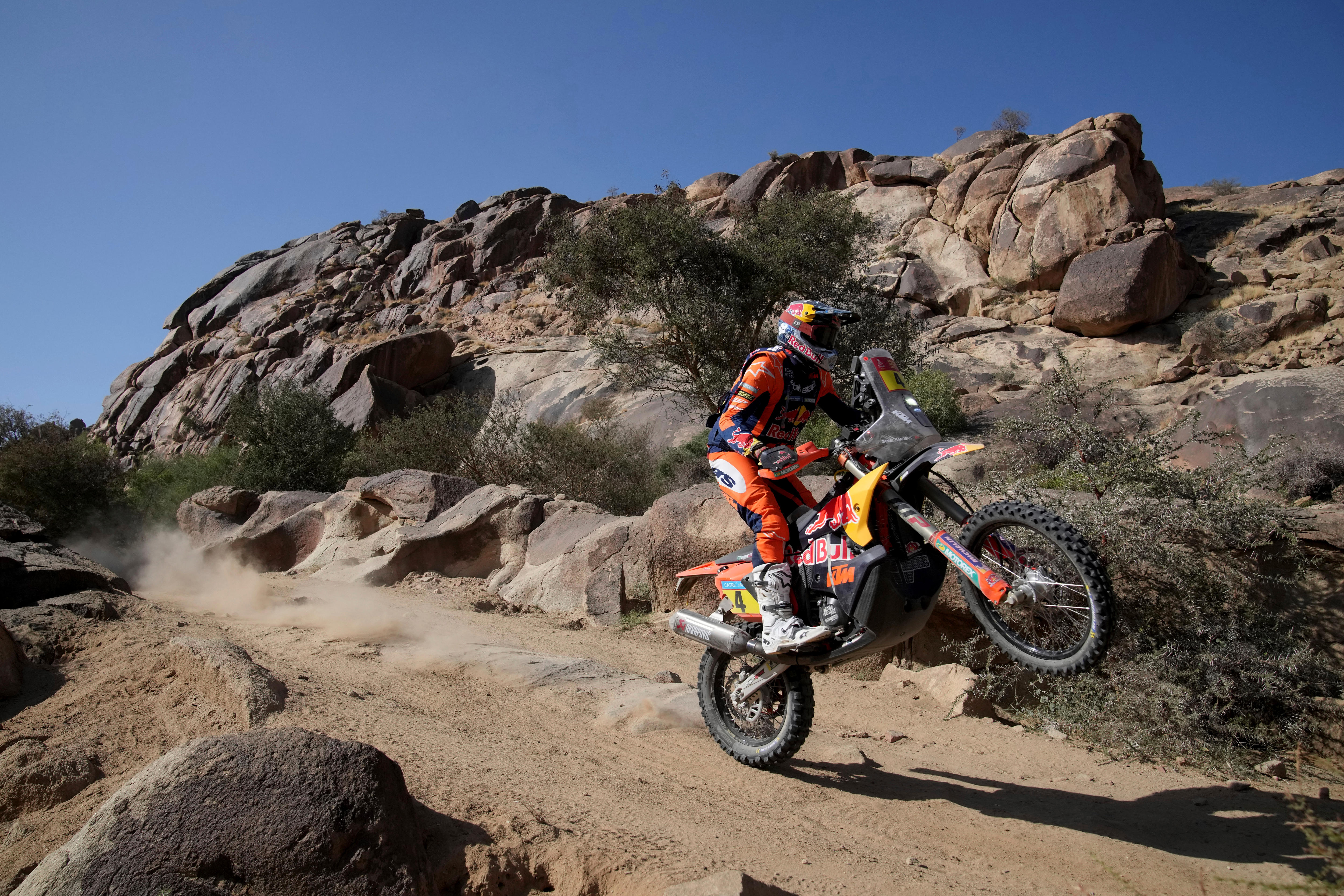 Taming the wildest race on earth