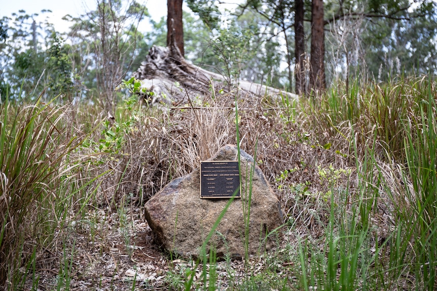 A rock with a plaque attached surrounded by bushland pictured in a story about eco-friendly funerals.