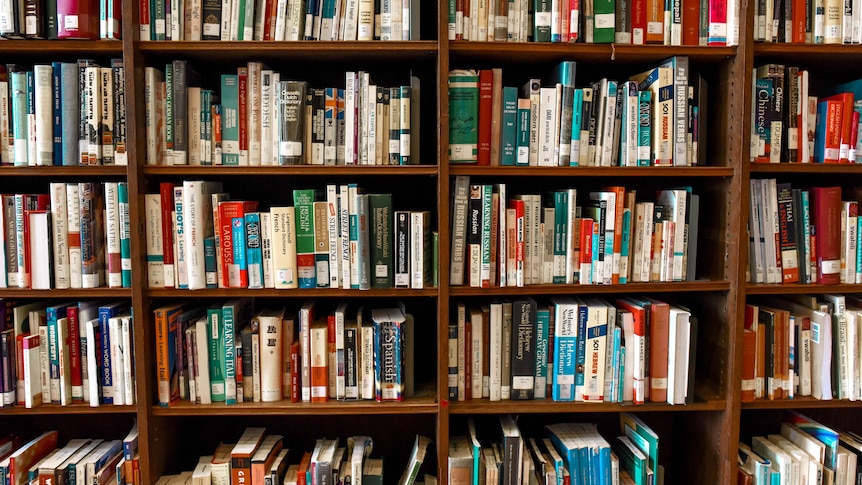 Rows of library books.