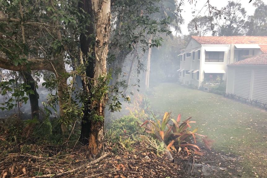 Smoke wafts through burnt out bushland at Noosa Springs.